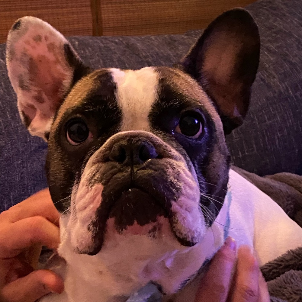 Meet your Posher, Renee